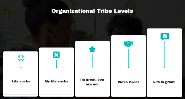 Graphic depicting the five levels of organizational tribes, designed by Nate Brown.
