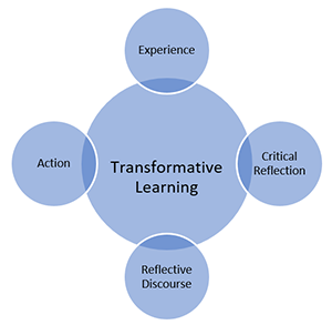 Graphic illustrating the components of transformative training.