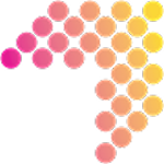 Icon ICMI