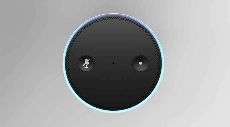 Alexa Voice Assisted Customer Service