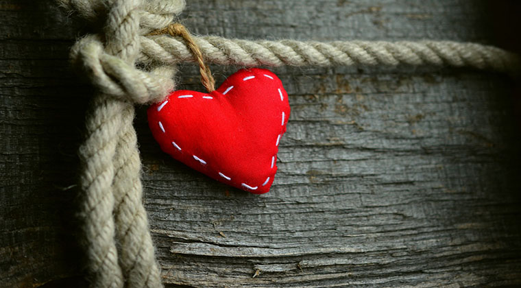 The Heart of the Company