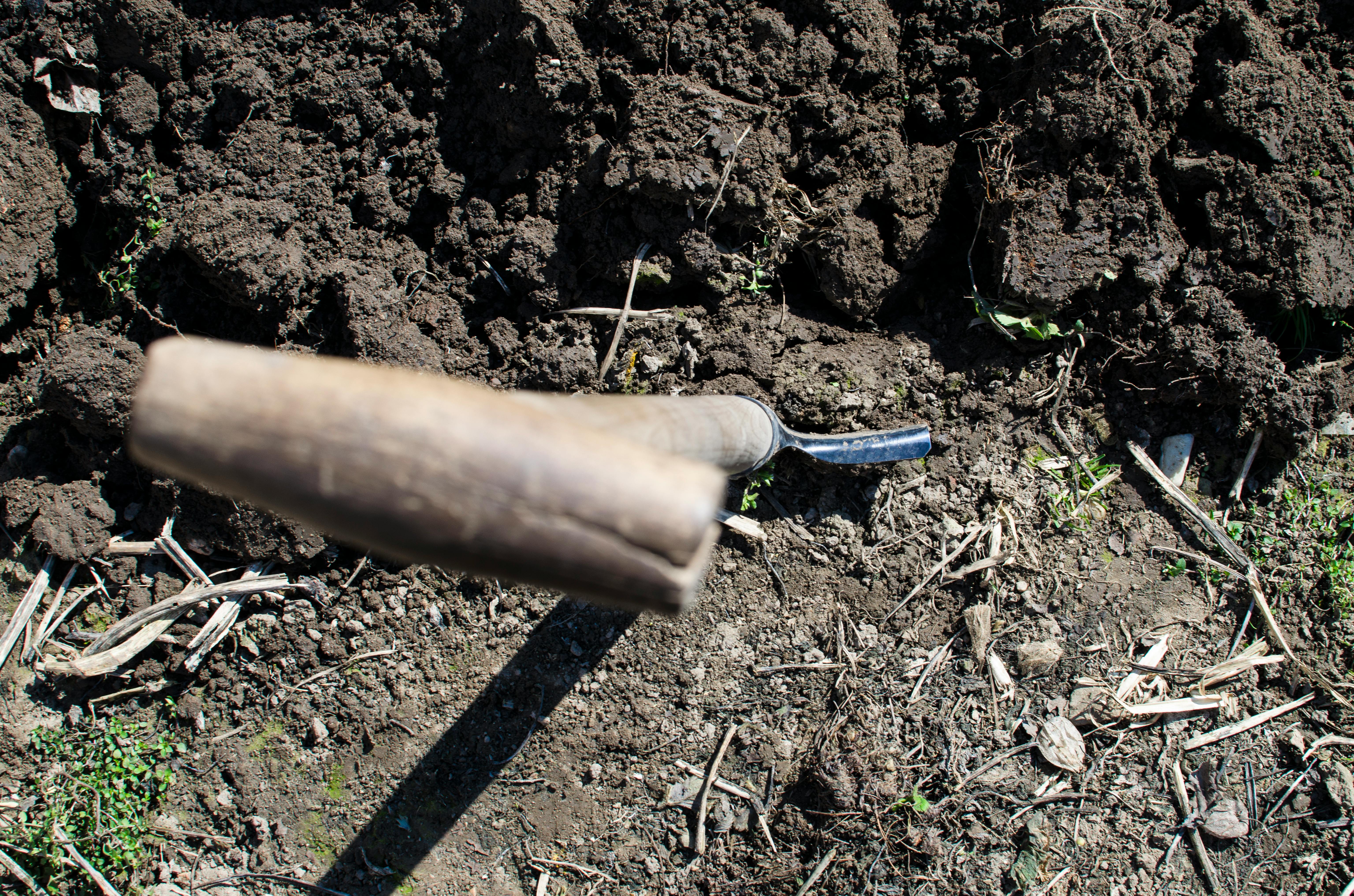 Shovel digging in the dirt - is it time to bury the document?
